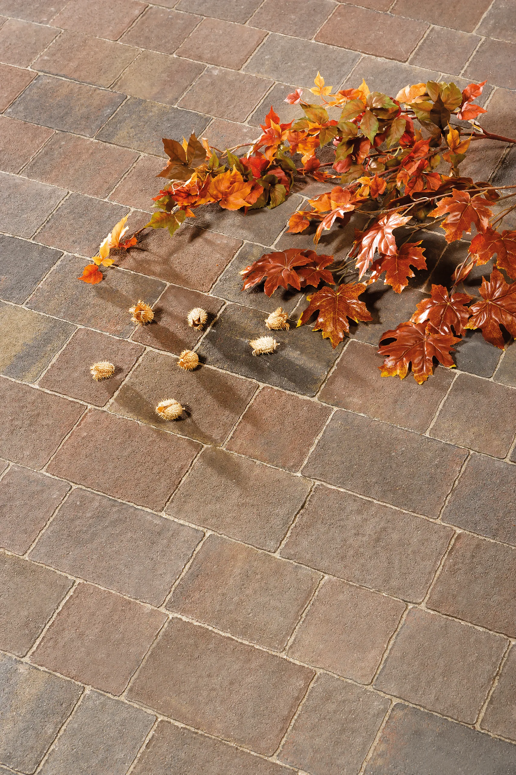 Leier Castrum Natur