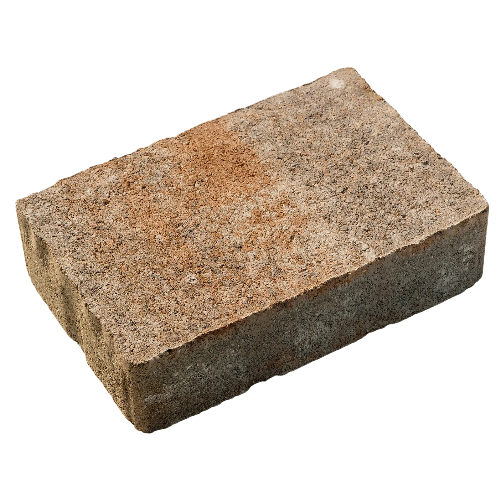 Leier Castrum Natur