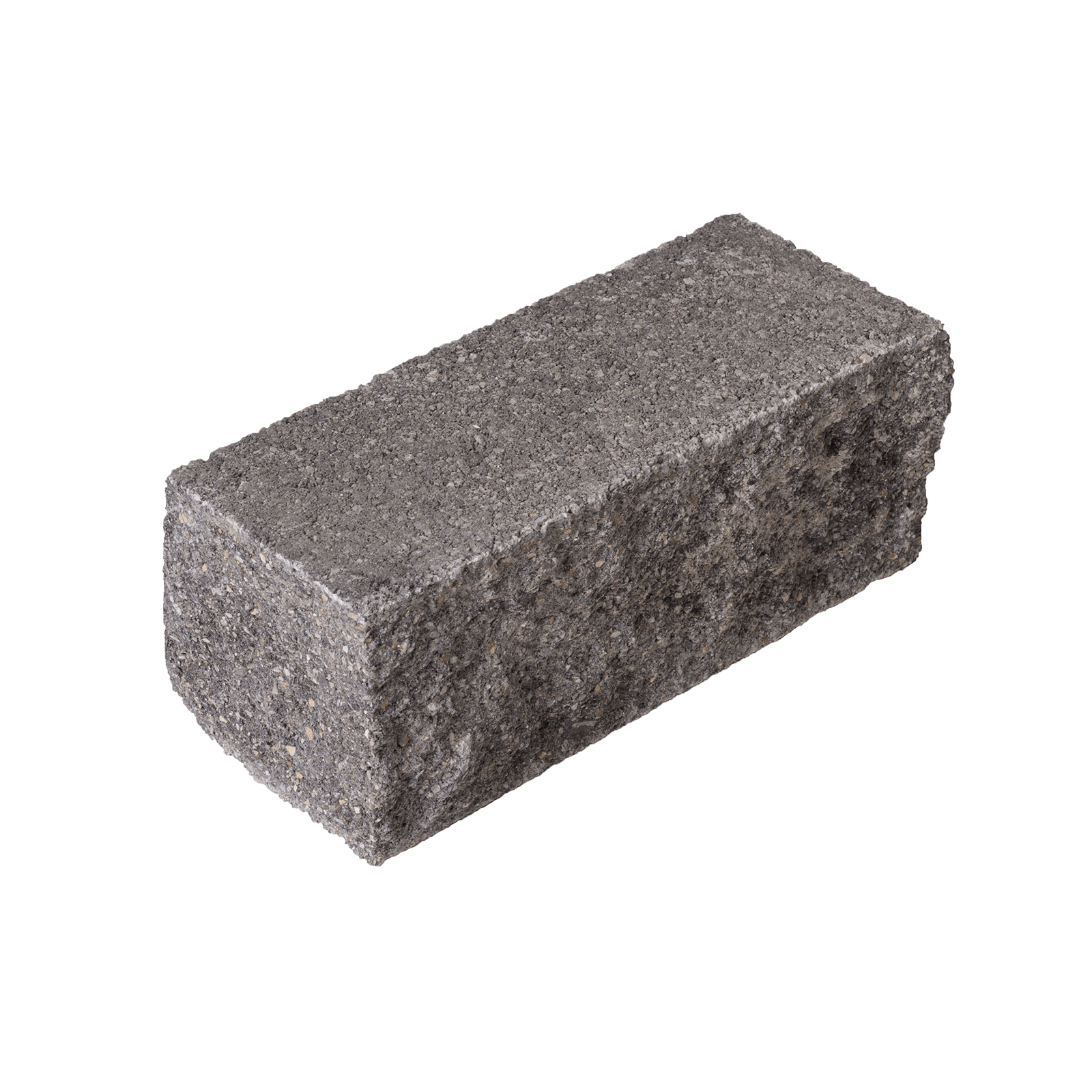 Leier Castrum palisade