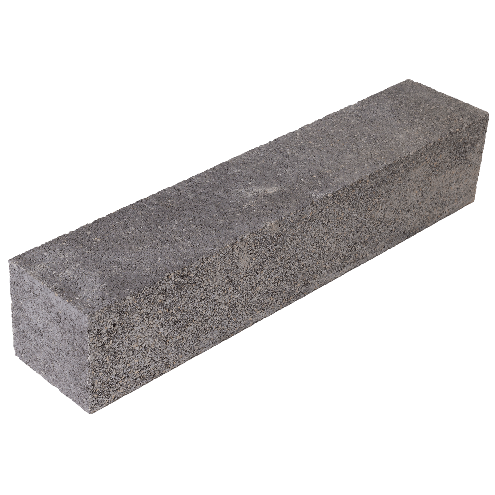 Leier Castrum palisade