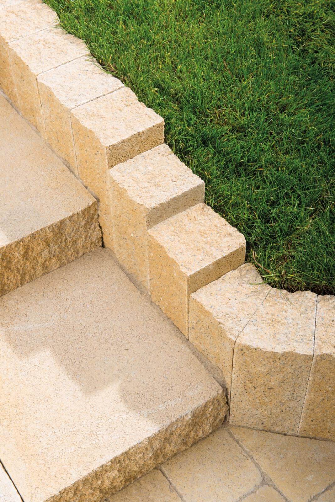 Leier Castrum palisade
