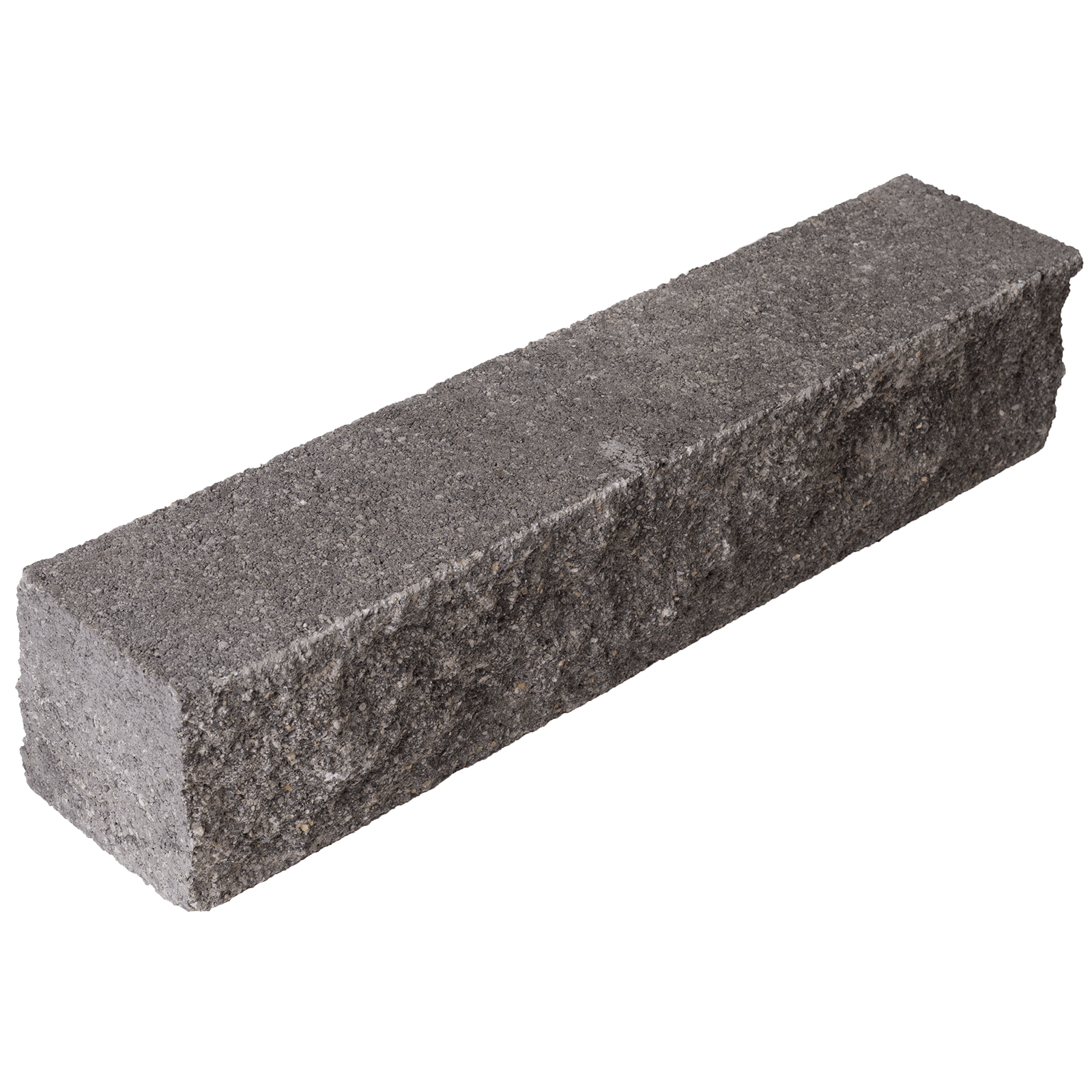 Leier Castrum palisade
