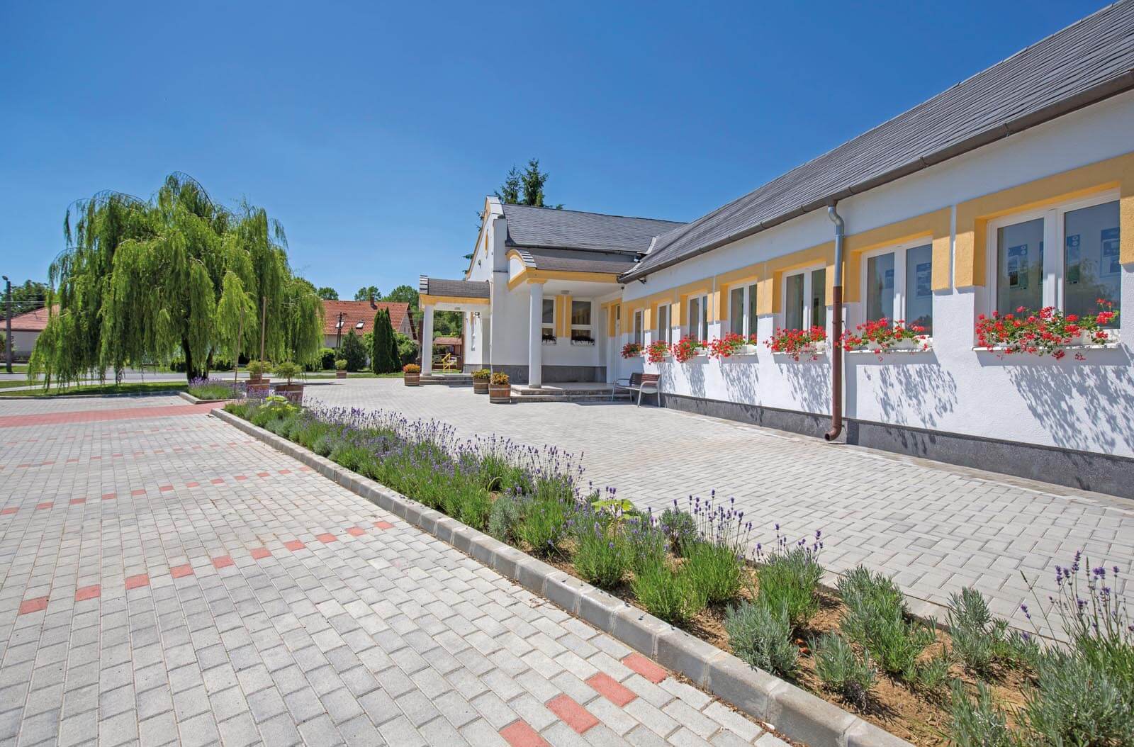 Leier Piazza