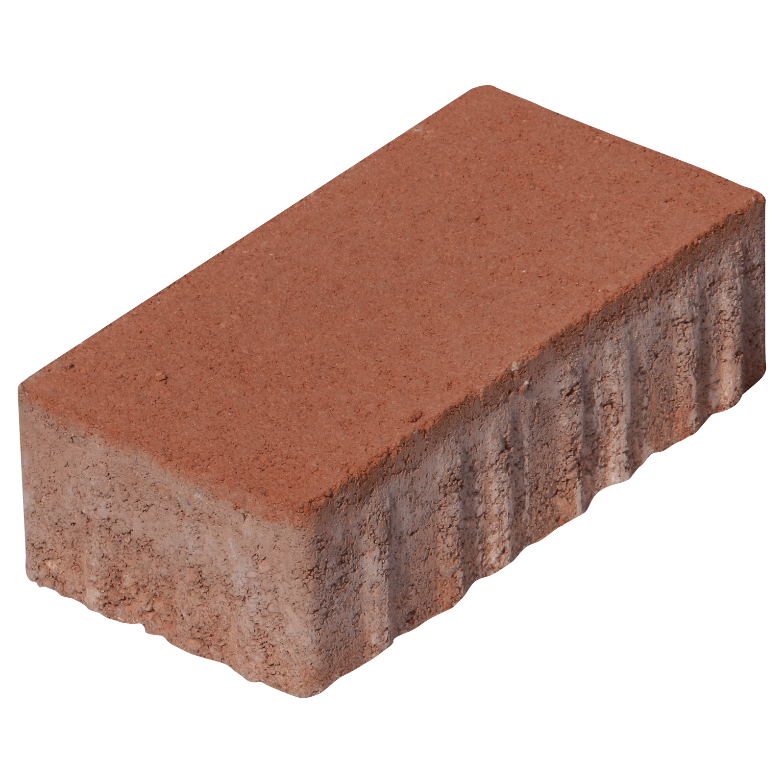 Leier Rollo